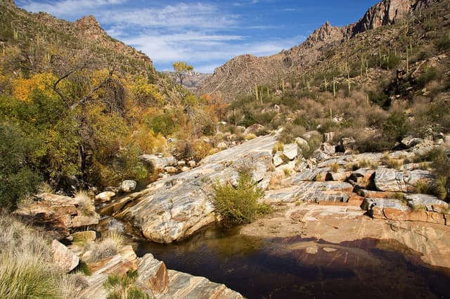 Catalina Foothills, a stop on TripsCircle curated routes