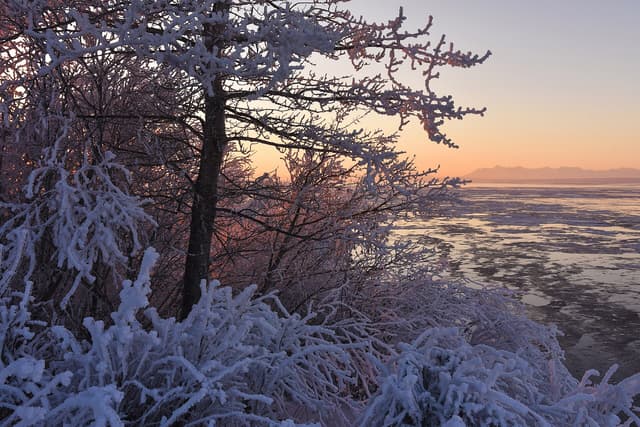 Tony Knowles Coastal Trail near Anchorage