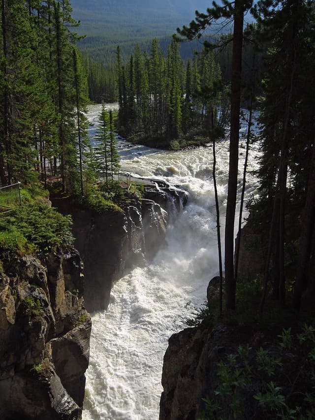 Sunwapta Falls in Jasper