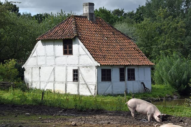 Den Fynske Landsby near Odense