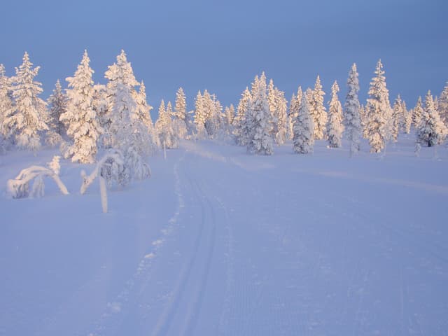 Urho Kekkonen National Park near Saariselkä