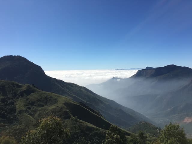 Top Station near Munnar