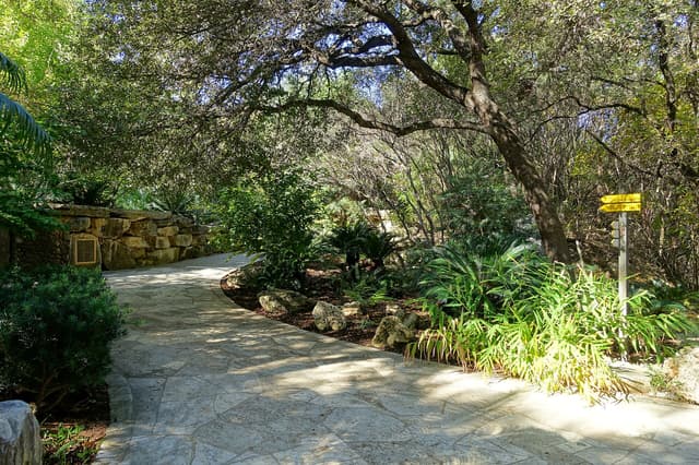 Zilker Botanical Garden near Zilker Park & Barton Springs