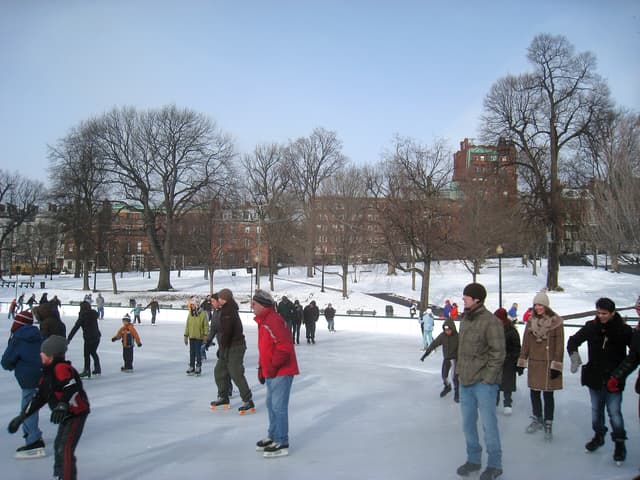 Boston Common near Downtown Boston & the Waterfront