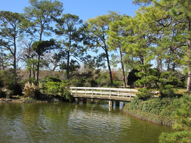 Japanese Garden near Hermann Park & Museum District