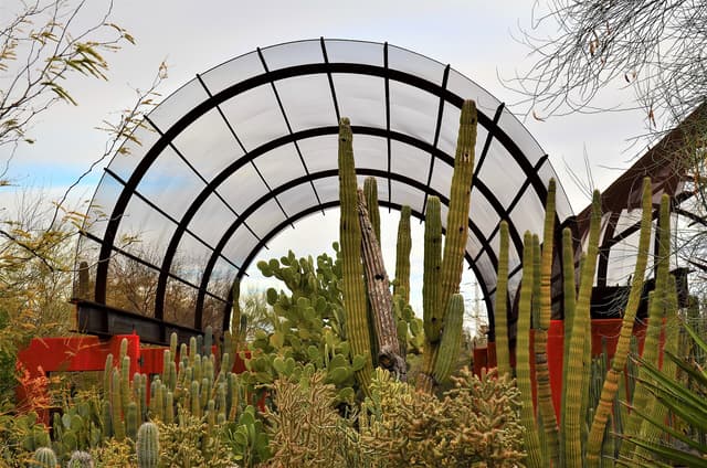 Desert Botanical Garden near Papago Park & Camelback