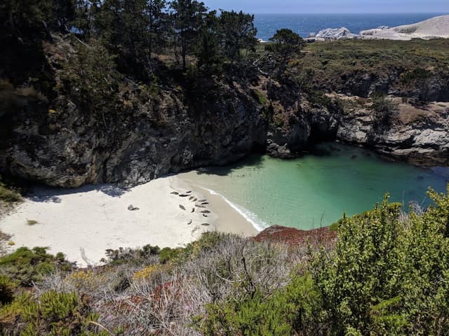 Point Lobos State Natural Reserve in Monterey & Carmel