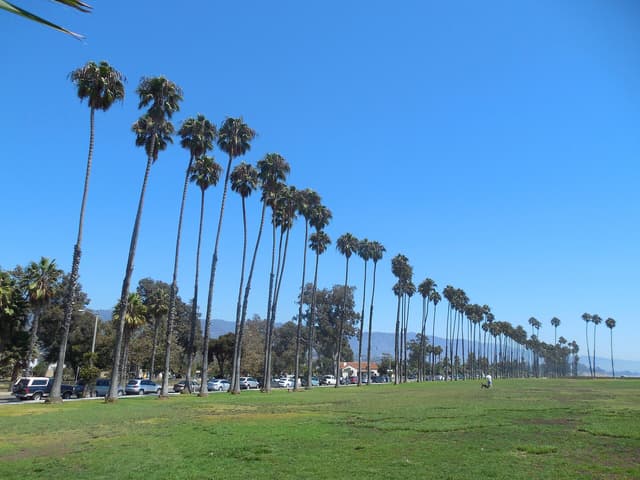 East Beach near Santa Barbara