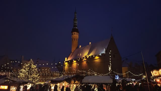 Tallinn Town Hall near Tallinn
