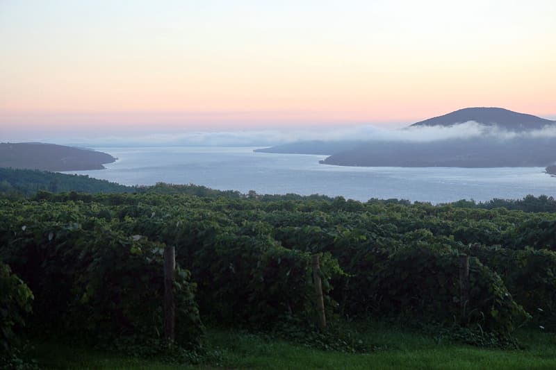 Finger Lakes Wine Trail curated route