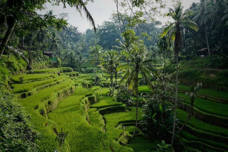 Bali Island Loop curated route