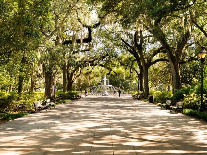 Charleston & Savannah curated route
