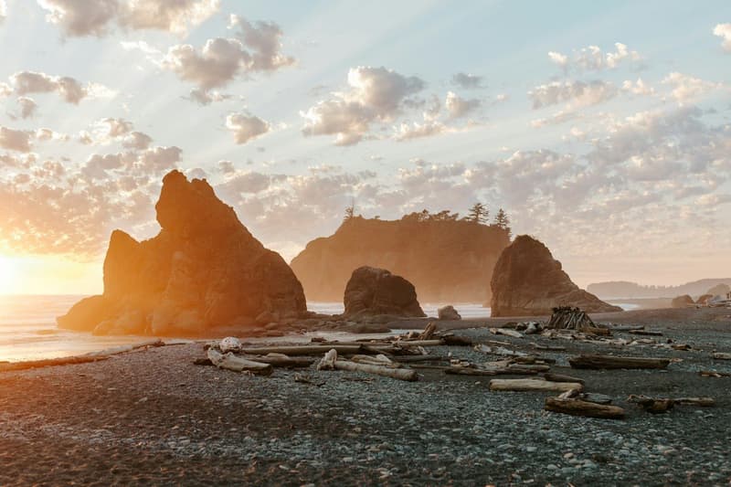 Pacific Northwest curated route