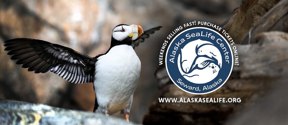 Alaska SeaLife Center in Seward, Alaska