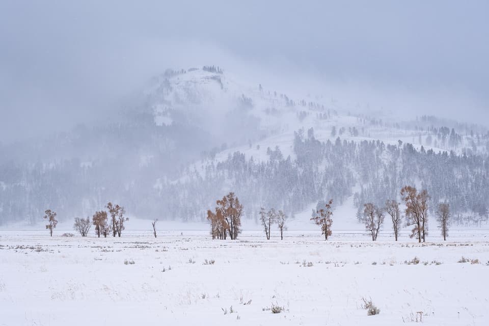 Lamar Valley in Yellowstone, Wyoming